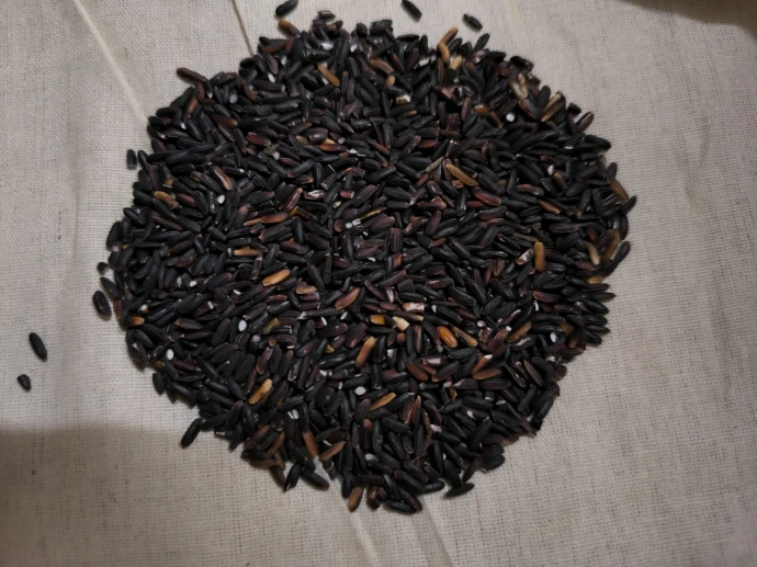 Black rice