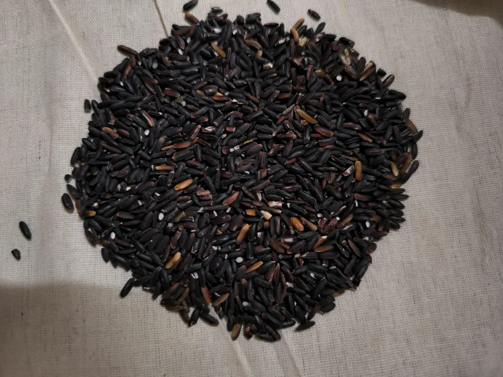 Black Rice.webp